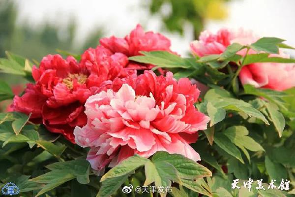 微信图片_20230428134005.jpg